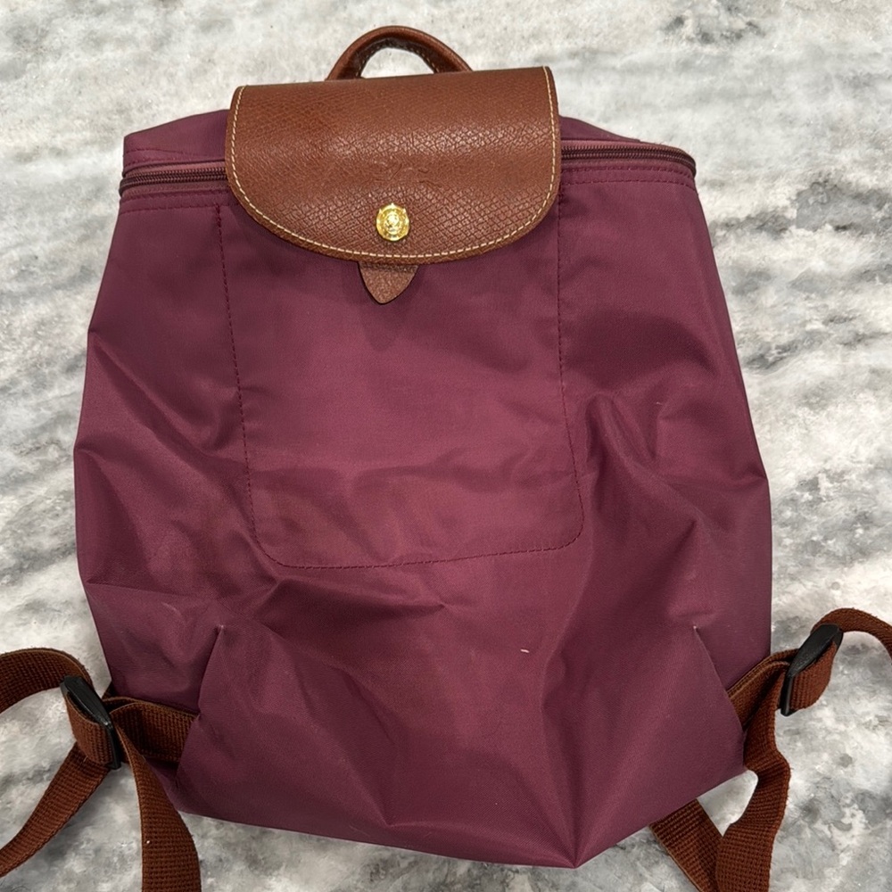 Longchamp Backpack - image 1